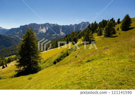 Rocky mountain peaks of Dolomites framed by greenery of meadow and woodlands 121141590