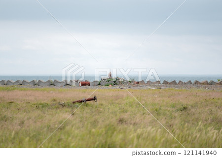Hokkaido scenery 121141940