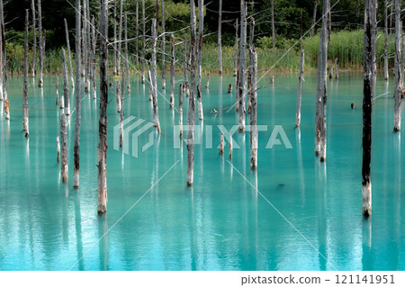 北海道風景 121141951
