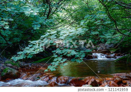 北海道風景 北海道風景 121141959