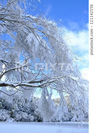 下雪天的平之澤池塘 121142556