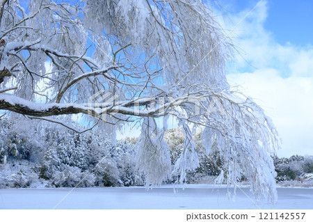下雪天的平之澤池塘 121142557