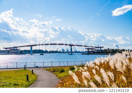 [千葉縣木更津市]從內湖公園一側看到的中之島大橋 121143219