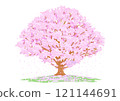 櫻花樹盛開，預示著春天的到來，新生命的開始。 121144691