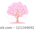 櫻花樹盛開，預示著春天的到來，新生命的開始。 121144692