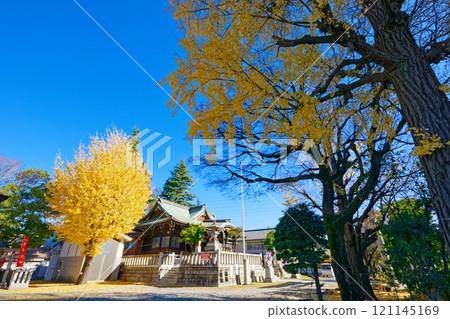Autumn and yellow leaves of ginkgo trees at Oku Hachiman Shrine Autumn and yellow leaves of ginkgo trees at Oku Hachiman Shrine 121145169