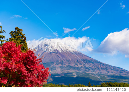 Autumn leaves and Mt. Fuji seen from Shiraito Falls, Fujinomiya City, Shizuoka Prefecture 121145420