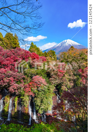Shiraito Falls and Mt. Fuji in autumn colors, Fujinomiya City, Shizuoka Prefecture Shiraito Falls and Mt. Fuji in autumn colors, Fujinomiya City, Shizuoka Prefecture 121145424
