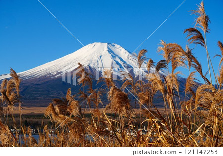 Susuki和富士山 Susuki和富士山 121147253