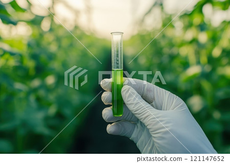 Hand Holding Test Tube with Green Liquid in Greenhouse Surrounded by Lush Vegetation 121147652
