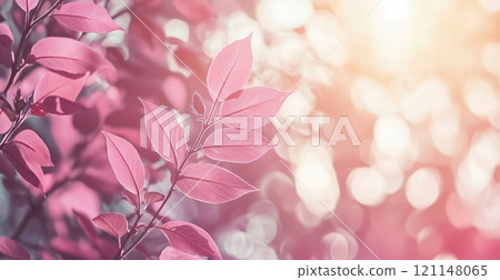 branch with soft pink leaves is illuminated by gentle sunlight, set against a blurred background 121148065