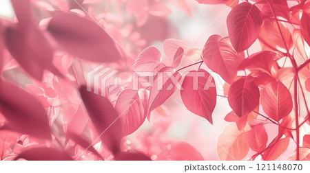 branch with soft pink leaves is illuminated by gentle sunlight, set against a blurred background 121148070