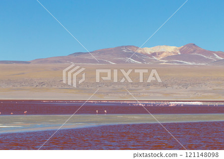 Laguna Colorada view, Bolivia Laguna Colorada view, Bolivia 121148098
