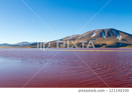 Laguna Colorada view, Bolivia Laguna Colorada view, Bolivia 121148100