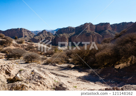 Bolivian dirt road view,Bolivia 121148162