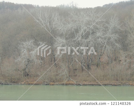 gloomy autumn winter landscape with turquoise water of a cold river and white fallen trunks of mystical trees on the bank, deserted leafless forest on the river bank on a cloudy day or in the evening gloomy autumn winter landscape with turquoise water of a cold river and white fallen trunks of mystical trees on the bank, deserted leafless forest on the river bank on a cloudy day or in the evening 121148326