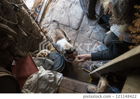 High angle view of old man with unkempt long gray hair feeding cat High angle view of old man with unkempt long gray hair feeding cat 121148422