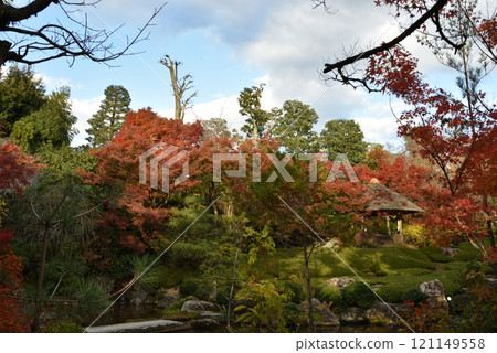 Myoshinji Temple subtemple Taizoin Garden "Yokoen" 121149558