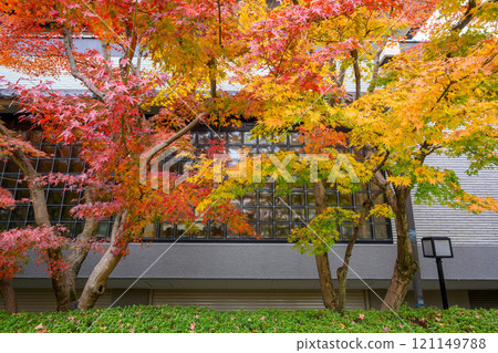 秋天的京都。只園八坂神社和丸山公園的秋葉 121149788