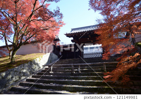Manshuin Temple, Imperial Gate and Autumn Leaves, Sakyo Ward, Kyoto City Manshuin Temple, Imperial Gate and Autumn Leaves, Sakyo Ward, Kyoto City 121149981
