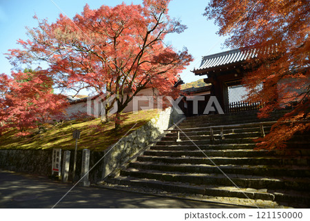 京都市左京區曼朱院、欽差門與秋葉 121150000