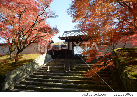京都市左京區曼朱院、欽差門與秋葉 121150002