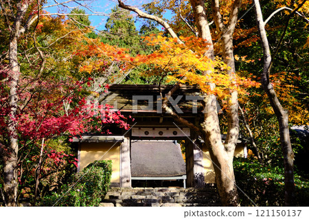 Autumn at Jakkoin Temple, a small jewel in Ohara, Kyoto Autumn at Jakkoin Temple, a small jewel in Ohara, Kyoto 121150137