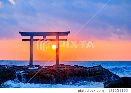 Autumnal torii gates and sunrise at Kamiiso, low tide, Oarai Town, Ibaraki Prefecture 121151163
