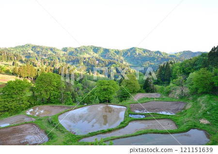 Gimyo Rice Terraces (Niigata Prefecture) Gimyo Rice Terraces (Niigata Prefecture) 121151639