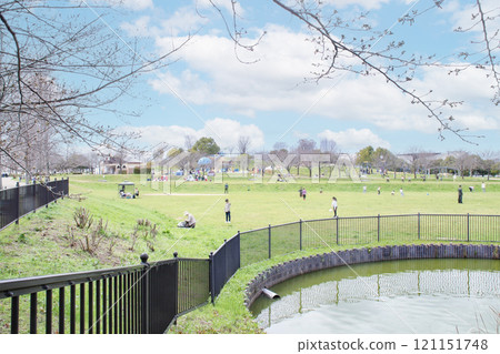 Ishikawa River Park and Grass Square / Komagaya, Habikino City, Osaka Prefecture 121151748