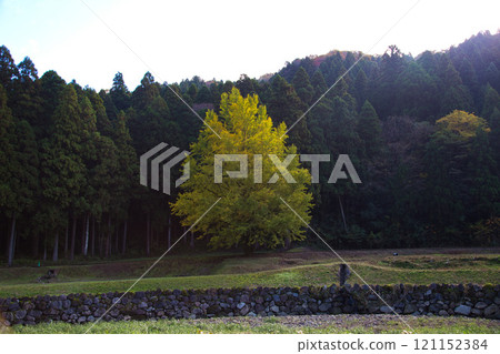 Ichijodani Asakura Clan Ruins: Autumn in the countryside 121152384