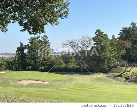 Golf course green Golf course green 121152629