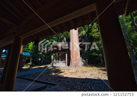 供奉紙神的神社的秋天：岡田神社與大瀧神社 121152753