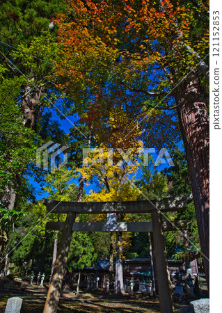 供奉紙神的神社的秋天：岡田神社與大瀧神社 121152853