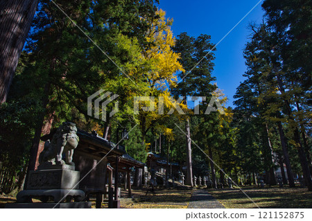 Autumn at the shrines dedicated to the god of paper: Okamoto Shrine and Otaki Shrine 121152875