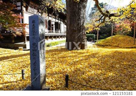 Fallen ginkgo leaves and autumn scenery of the main hall in the Kuhonbutsu precincts Fallen ginkgo leaves and autumn scenery of the main hall in the Kuhonbutsu precincts 121153181