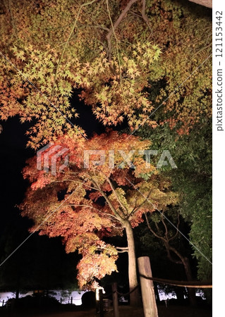 秋葉在老庭院點燃了 121153442