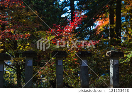 花籠公園的秋意漸深 花籠公園的秋意漸深 121153458