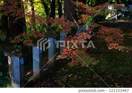 花籠公園的秋意漸深 121153467