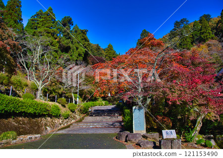 花籠公園的秋意漸深 花籠公園的秋意漸深 121153490