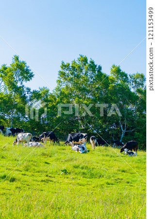 Ranch Ranch 121153499