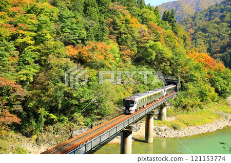 Autumn arrives on the Takayama Main Line Limited Express "Hida" Autumn arrives on the Takayama Main Line Limited Express "Hida" 121153774