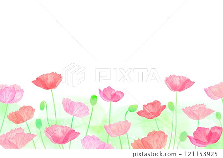 Red and pink poppy flower field frame. Beautiful spring illustration with watercolors. Red and pink poppy flower field frame. Beautiful spring illustration with watercolors. 121153925