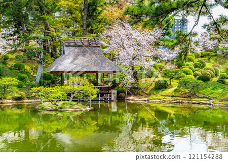 Spring in Shukkeien Garden, Hiroshima - Sakuei Pond and Yuyutei Pavilion Spring in Shukkeien Garden, Hiroshima - Sakuei Pond and Yuyutei Pavilion 121154288
