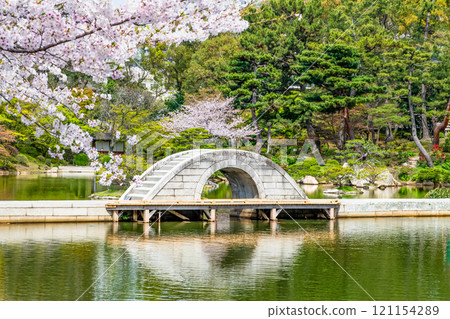 Spring in Shukkeien Garden, Hiroshima: Sakuei Pond and the Rainbow Bridge 121154289