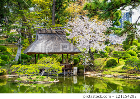 Spring in Shukkeien Garden, Hiroshima - Sakuei Pond and Yuyutei Pavilion 121154292