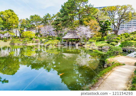 Hiroshima Shukkeien Garden in Spring - Sakuei Pond 121154293