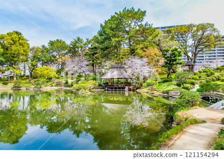 廣島春天縮景園灌溉池 121154294
