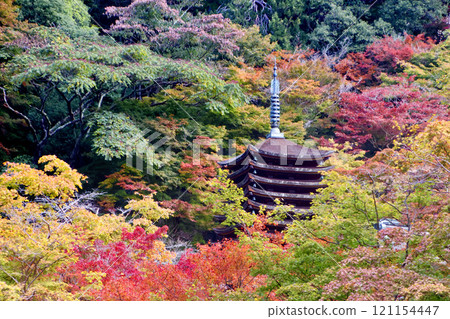 Tanzan Shrine and the Thirteen-Story Pagoda in Autumn (Sakurai City, Nara Prefecture) Tanzan Shrine and the Thirteen-Story Pagoda in Autumn (Sakurai City, Nara Prefecture) 121154447