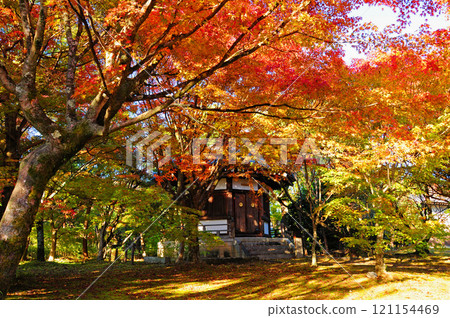 Scenery with autumn leaves 2 121154469